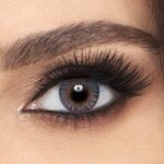 Freshlook Gray Daily